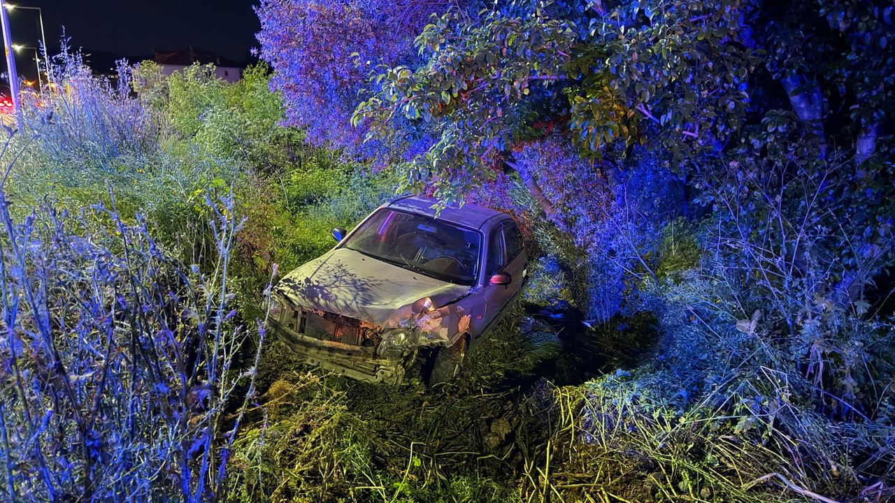 Bursa'da Direksiyon Kontrolünü Kaybeden Araç Tarlaya Uçtu: 4 Yaralı Bursa'da Direksiyon Kontrolünü Kaybeden Araç Tarlaya Uçtu: 4 Yaralı