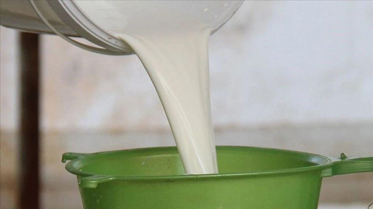 Çiğ Süt Üretim Maliyeti Düşüşte: Litre Başına 27,31 TL Oldu Çiğ Süt Üretim Maliyeti Düşüşte: Litre Başına 27,31 TL Oldu