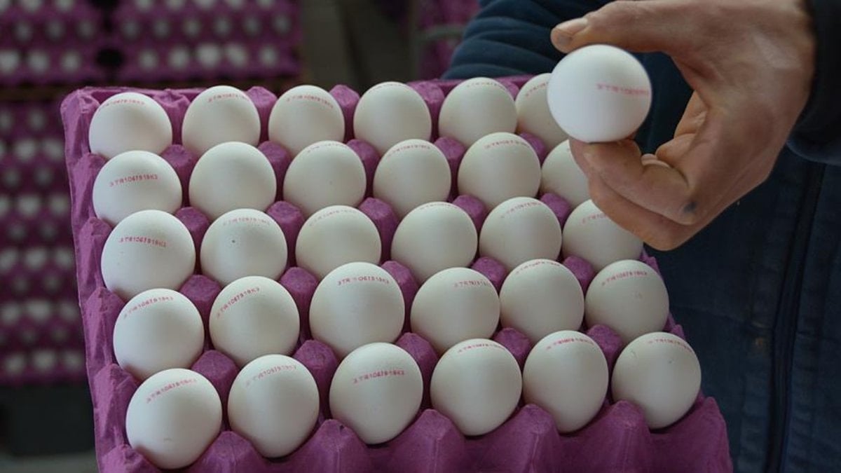 İtalya'ya Yumurtada İhracat Yüzde 1024 Arttı: Türkiye Fırsatı Değerlendirdi İtalya'ya Yumurtada İhracat Yüzde 1024 Arttı: Türkiye Fırsatı Değerlendirdi