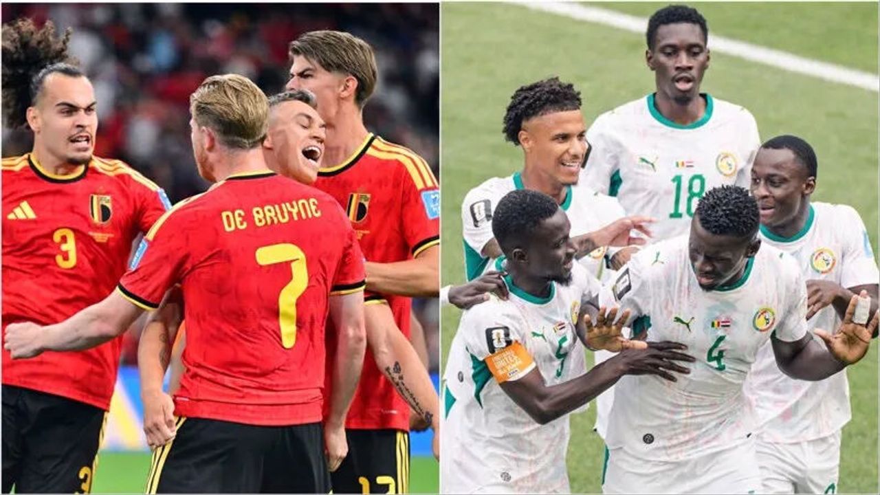 Belçika ile Senegal kozlarını paylaşıyor