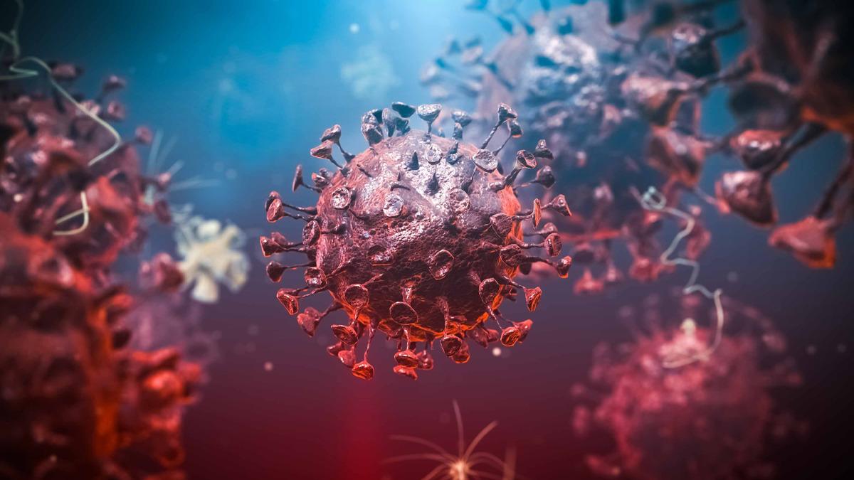 Kongo Demokratik Cumhuriyeti'nde Ebola Salgını Kontrolden Çıktı