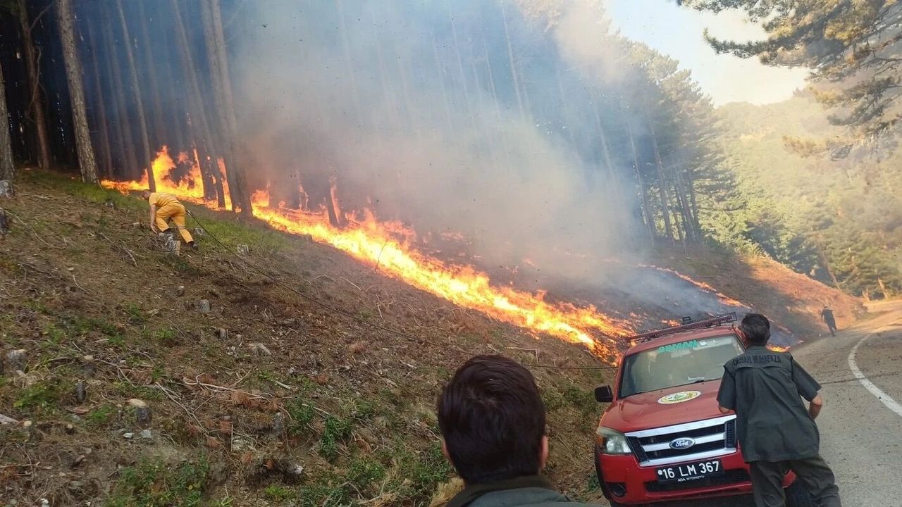 Uludağ'da Orman Yangınına Hızla Müdahale Ediliyor