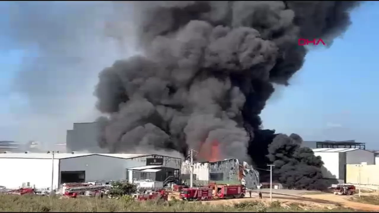 Fabrikada yangın: 2 işçi yaralı, 2 at hayatını kaybetti