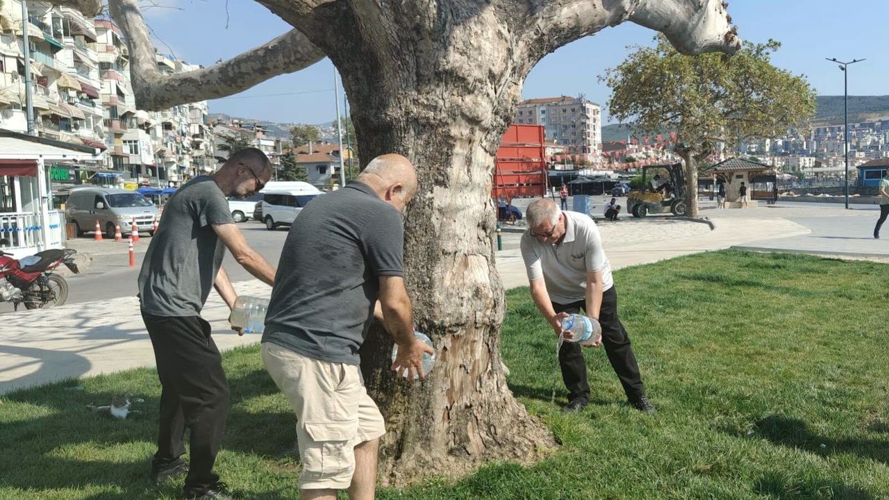 İYİ Parti Gemlik’te ağaçları suladı: Sahil betona kurban gitmemeli