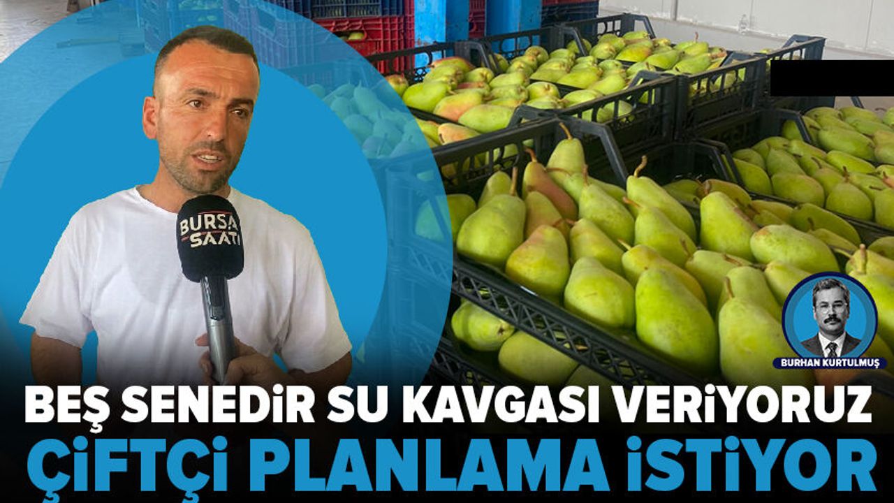 Dereçavuşköy'de meyve fiyatları yüzde 80 düştü: Üreticiler plansızlıktan şikayetçi