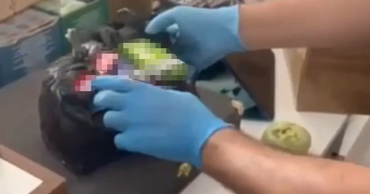 Kayseri'de sigara dolumuna baskın: 13 bin makaron yakalandı