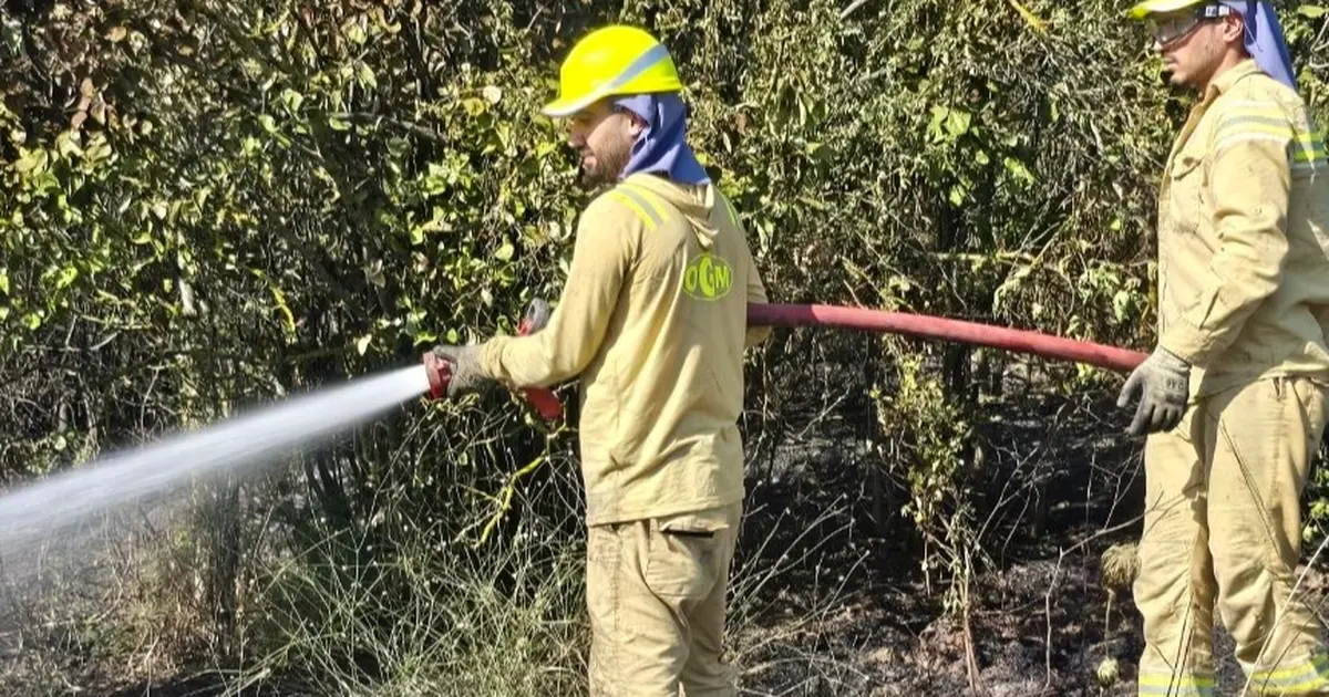 Bursa Mudanya’da yangın paniği: Ekipler zamanında müdahale etti