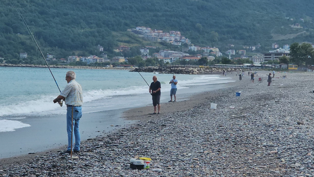 Karadeniz'de balık sezonu açıldı: Cide'de palamut avı başladı