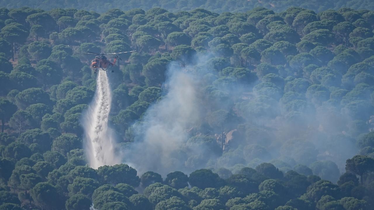 Yangınlarla ilgili 2 tutuklama: Adalet Bakanı detayları paylaştı