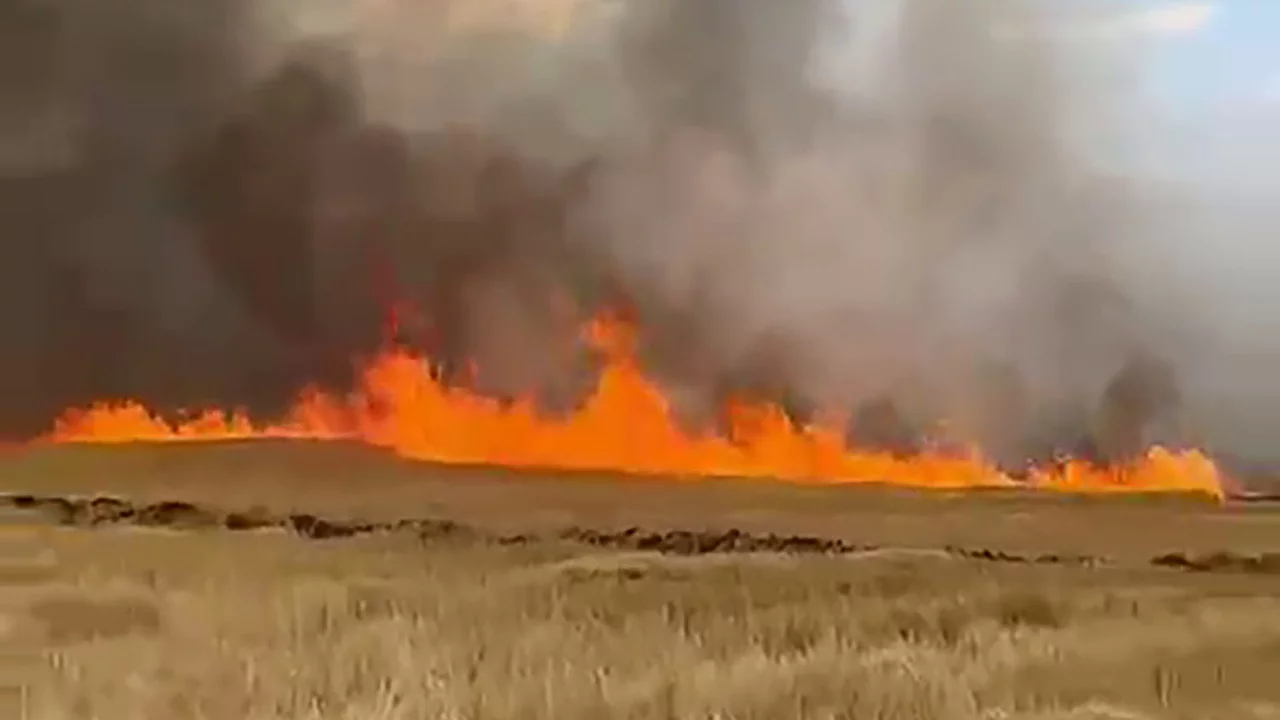 Yangın felaketi: Maksutlu köyünde 5 bin dönüm buğday tarlası yandı