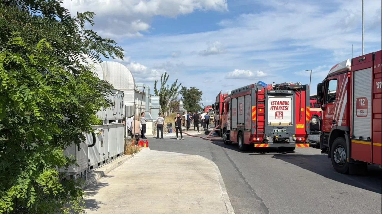 Yangın alarmı: Bakırköy'deki hastane bahçesinde alevler yükseldi