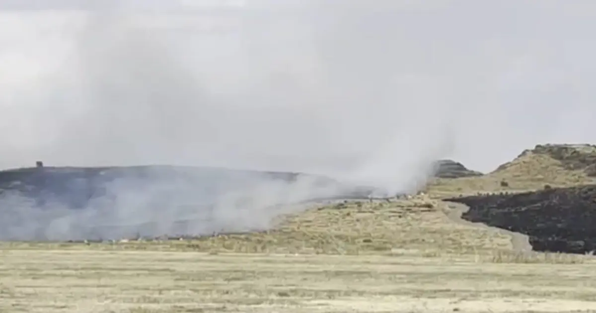 Ahlat-Tatvan yolunda yangın paniği: 300 dönüm zarar gördü