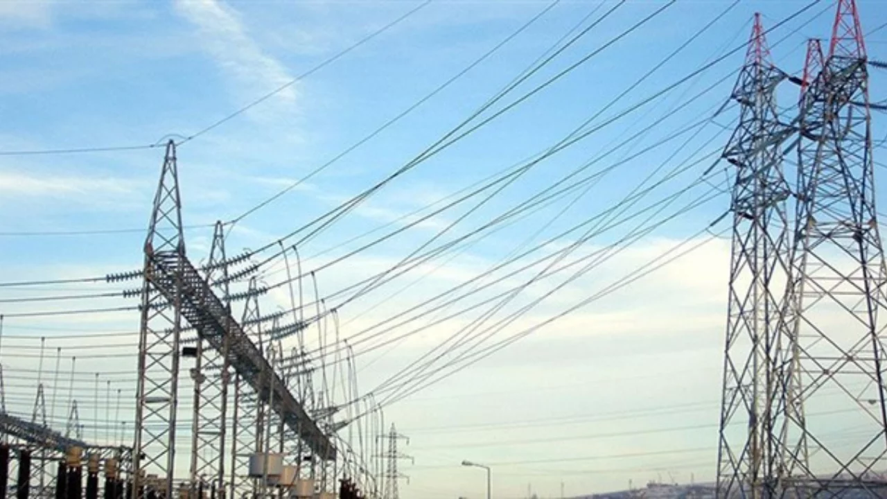 Bursa'da elektrik kesintisi: Leylek göçü enerji hattını etkiledi