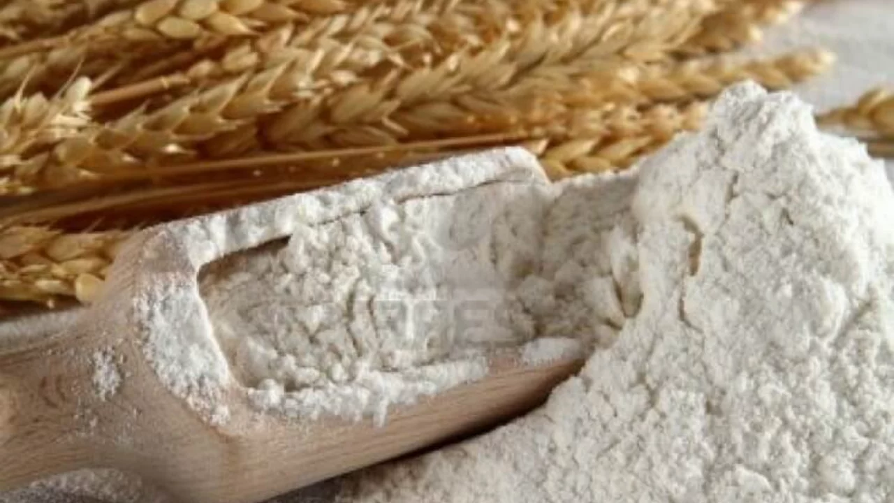 Bursa'da kamu kurumları için 171 ton un alımı ihale süreci başladı