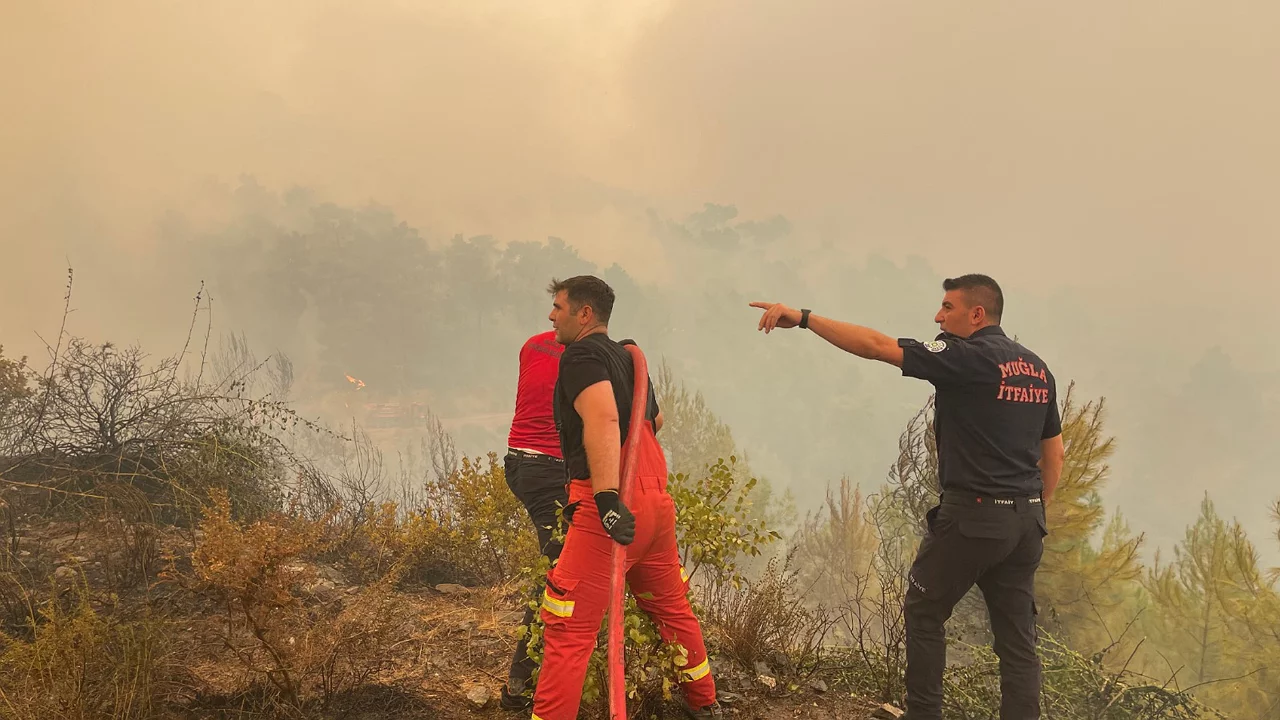 Muğla'da her 10 yangından 7'si insan kaynaklı: Yangınların sebepleri belirlendi
