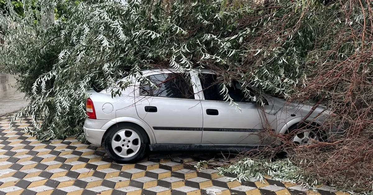 Niğde'de devrilen ağaç, otomobilin üzerine düştü