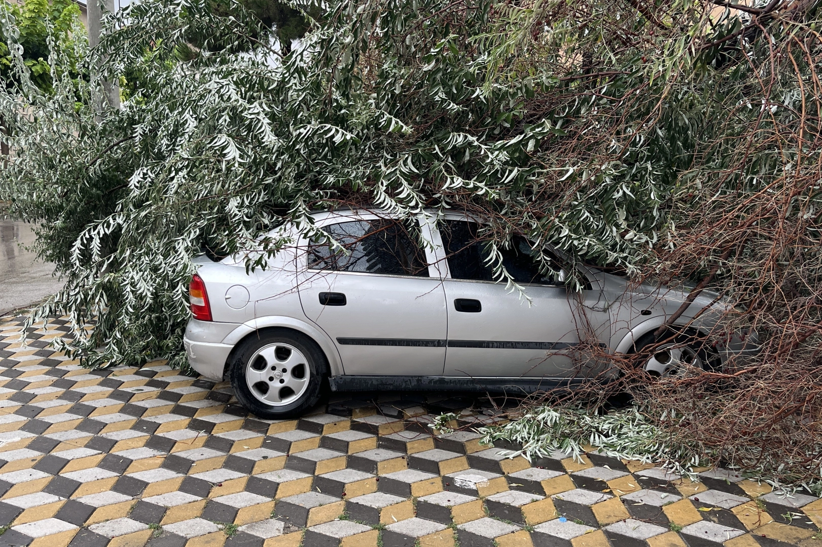 Niğde'de devrilen ağaç, otomobilin üzerine düştü