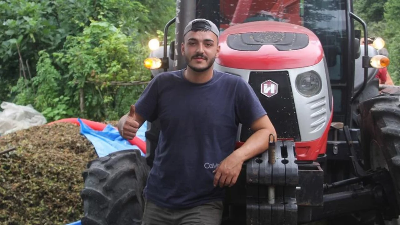 Ordu'da Fındık Hasadı: Patozcular Yılda 50 Gün Çalışarak Saatte 6 Bin TL Kazanıyor