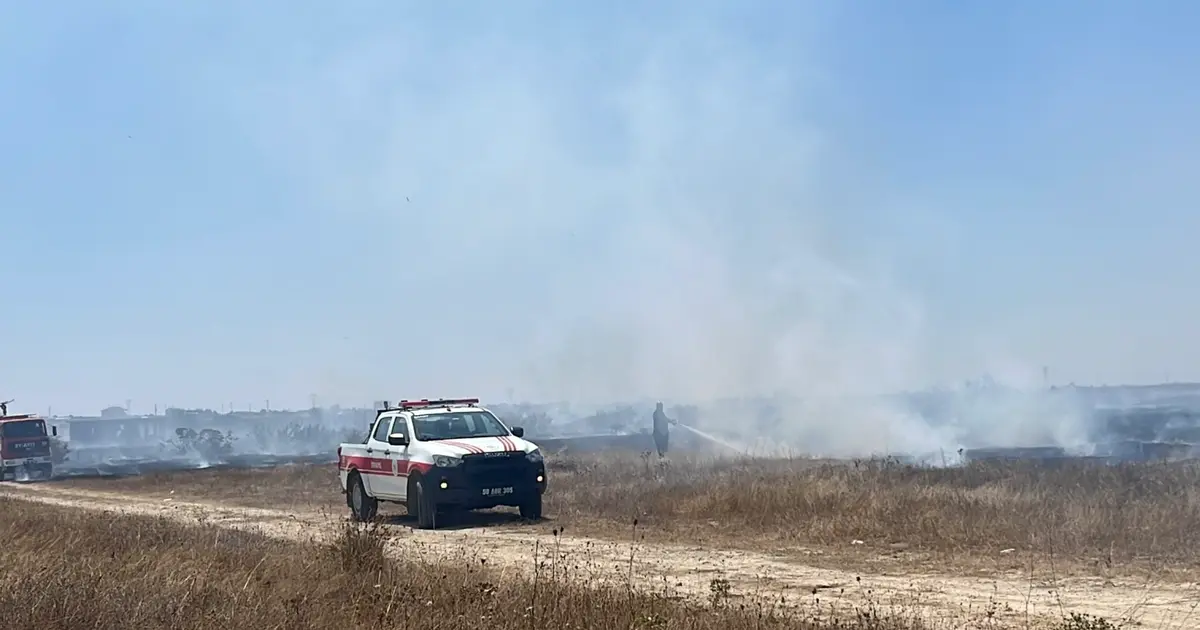Tekirdağ'da yangın paniği: İtfaiye ve vatandaşlar seferber oldu
