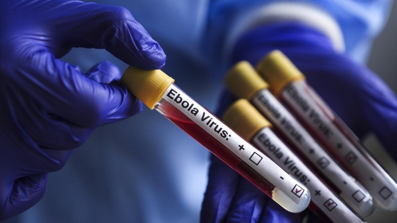 DSÖ, KDC'de Ebola salgınına halk sağlığı acil durumu dedi