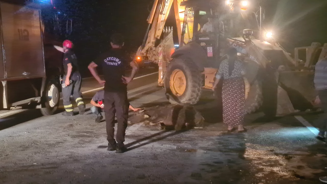 Zonguldak'ta gece kaza: 3 mandaya çarpan otomobilde 2 yaralı