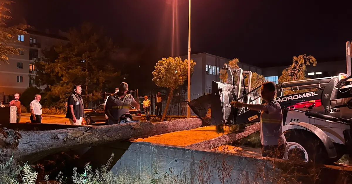 Çorum'da ağaç devrildi: Olayda yaralanan yok, hasar var