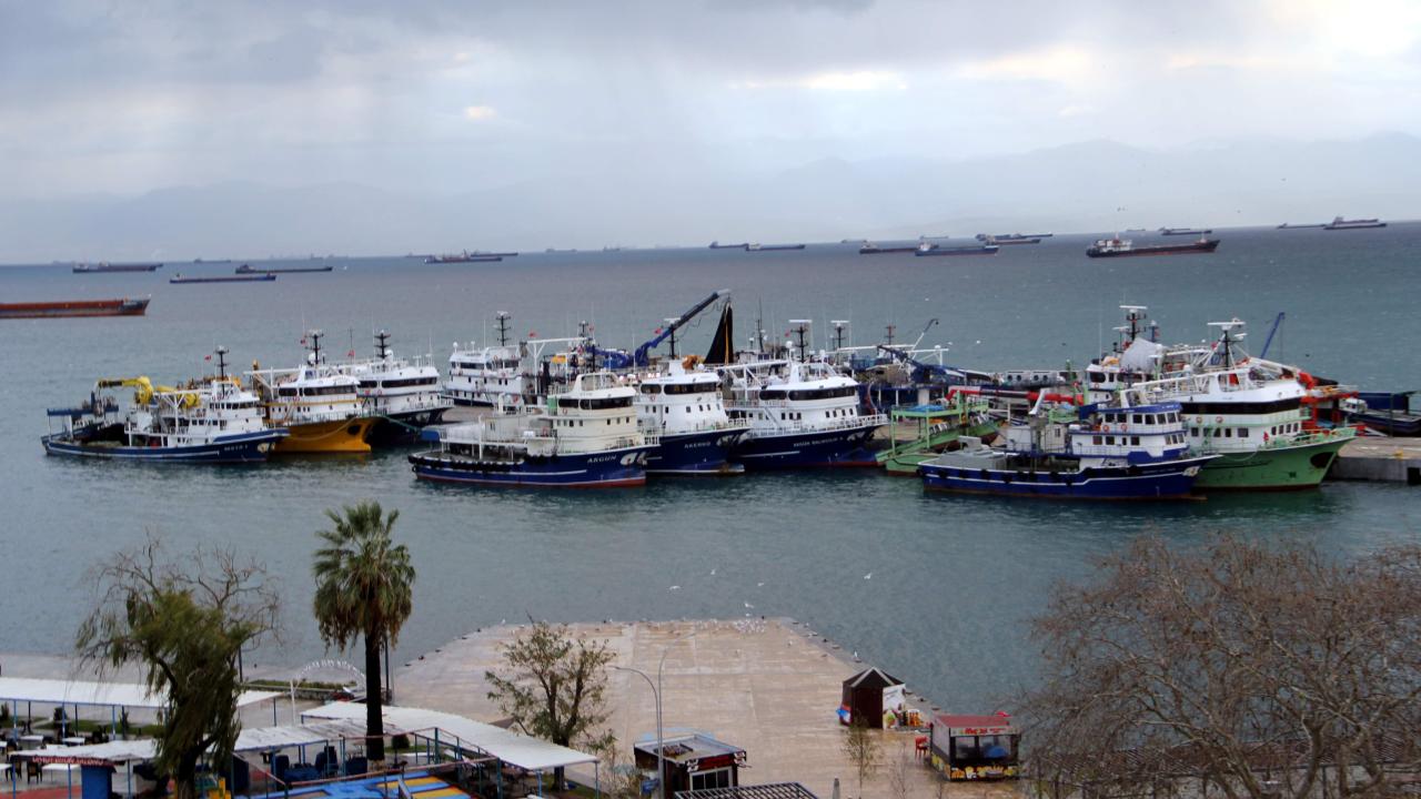 Balıkçılar, 1 Eylül'de başlayacak av sezonuna hazır: Palamut bol