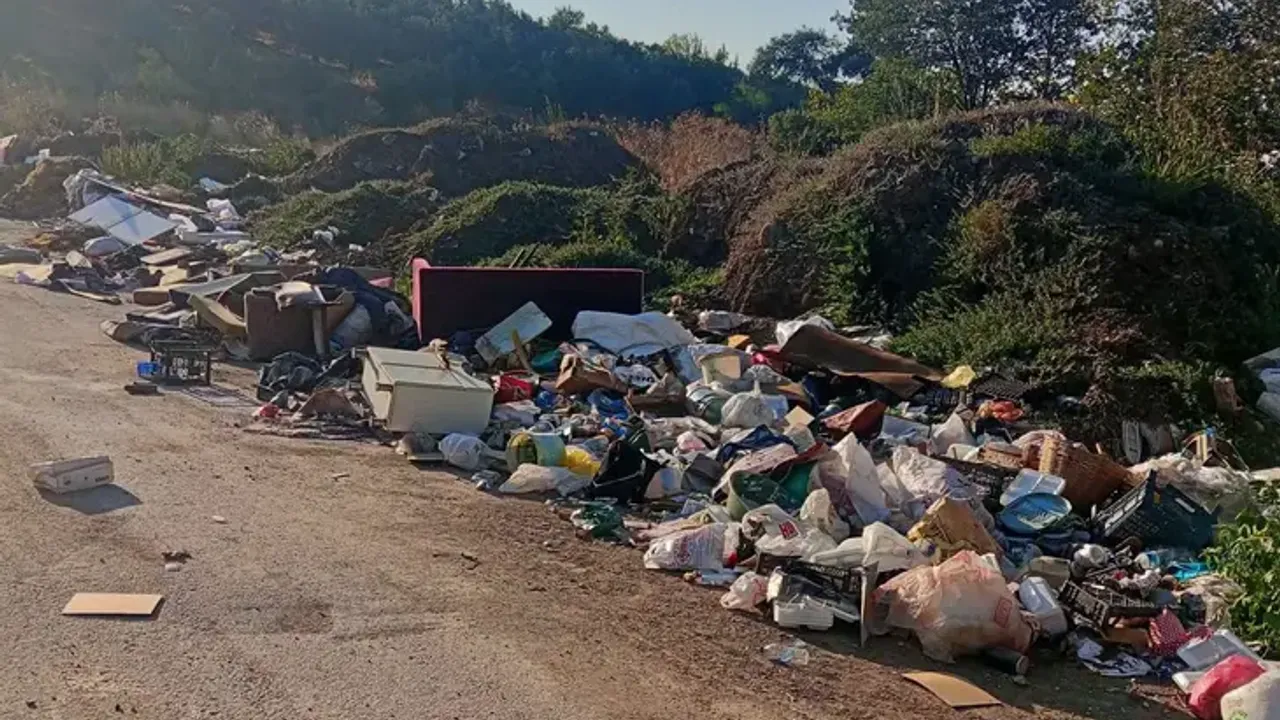 Gemlik'teki hayvan pazarında temizlik eksikliği devam ediyor