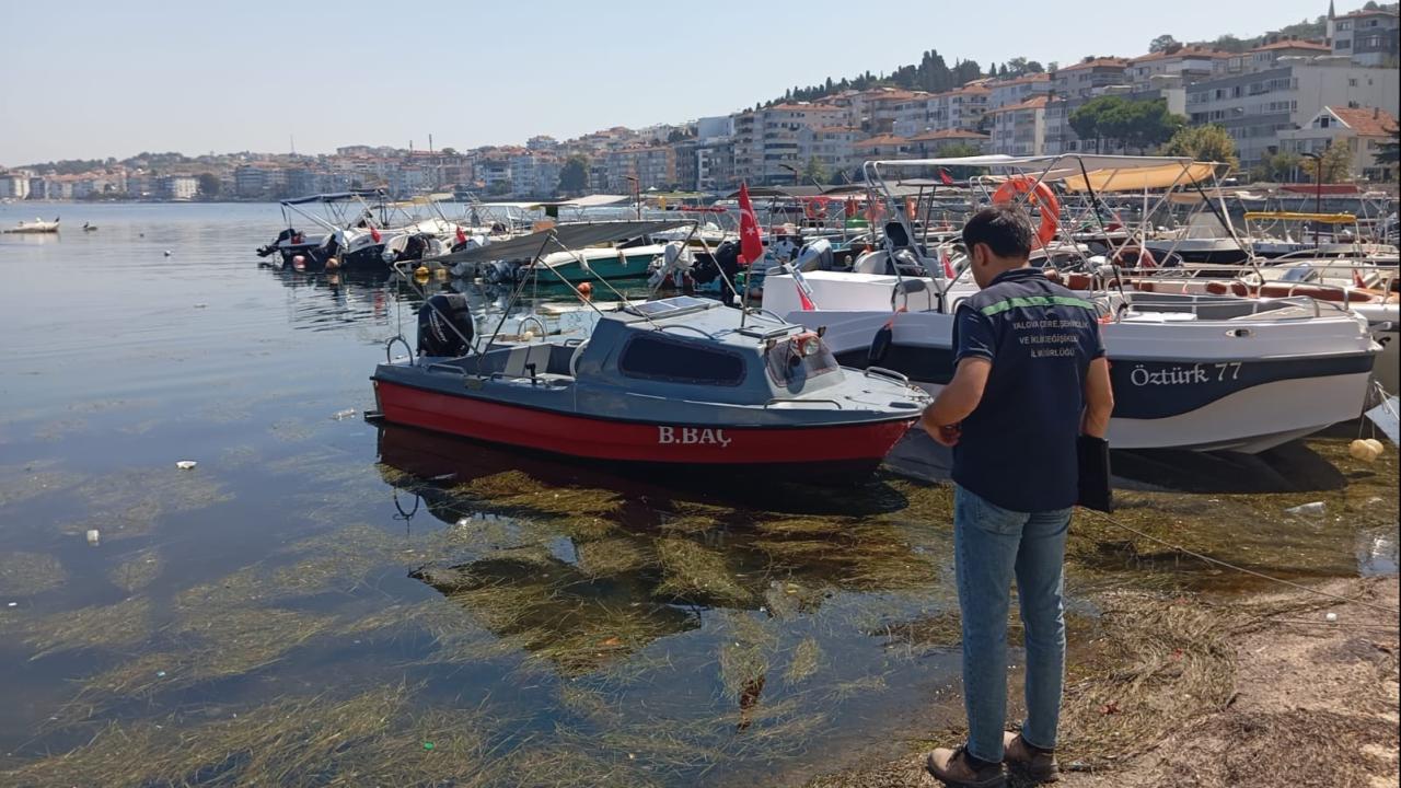 Yalova ve Antalya'da çevre kirliliği: 7,9 milyon lira ceza uygulandı