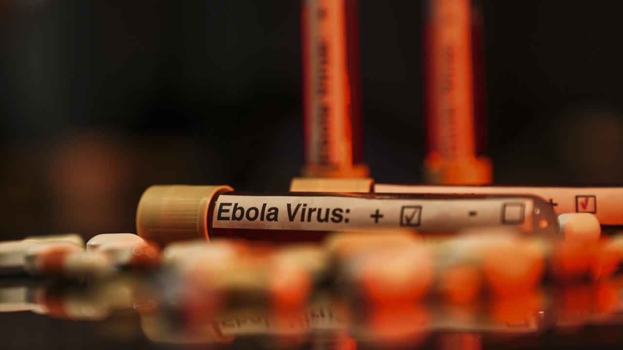 DSÖ, KDC'deki Ebola salgınında genel riskin çok yüksek olduğunu açıkladı DSÖ, KDC'deki Ebola salgınında genel riskin çok yüksek olduğunu açıkladı