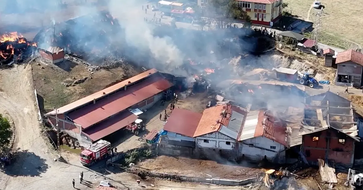 Kastamonu'da samanlık yangını ahırlara sıçradı: 14 büyükbaş hayvan telef oldu