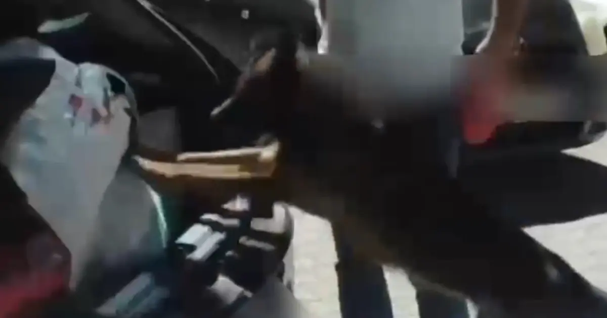 Uyuşturucu sevkiyatı Sakarya'da durduruldu: 4 tutuklama gerçekleşti Uyuşturucu sevkiyatı Sakarya'da durduruldu: 4 tutuklama gerçekleşti