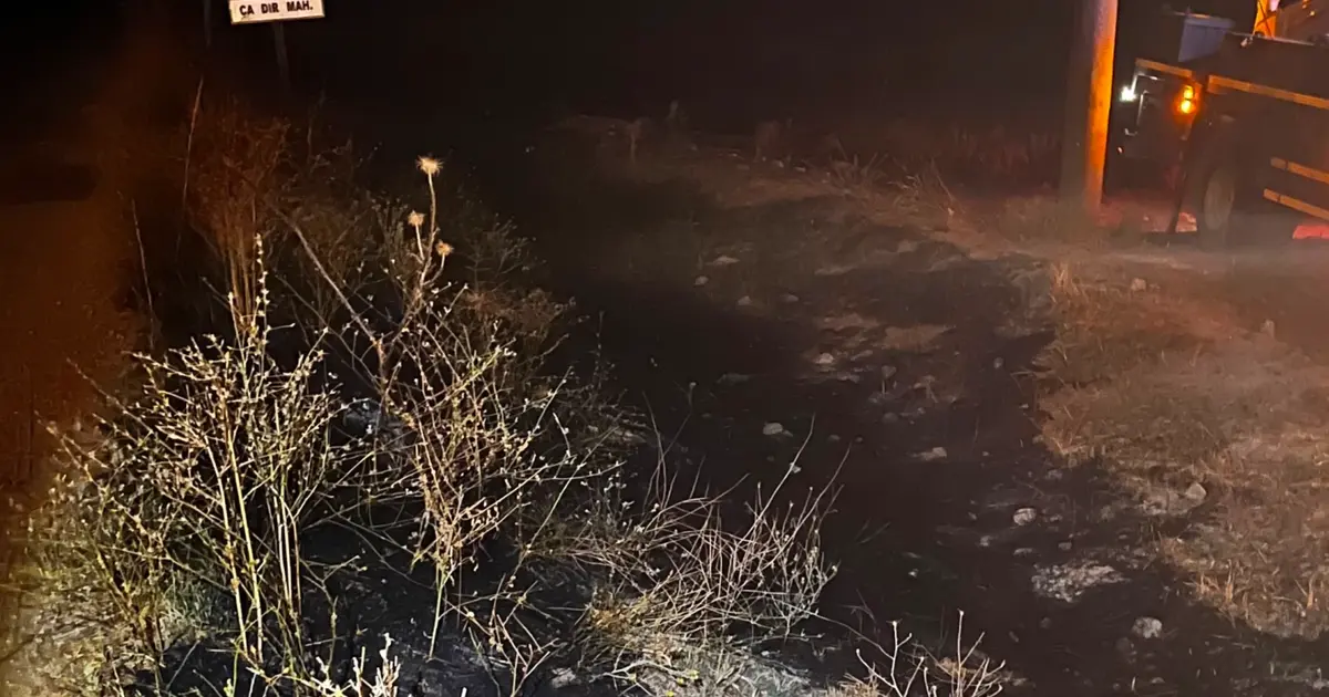 Eskişehir'de kuş çarpması sonrası yangın: Ekipler müdahale etti