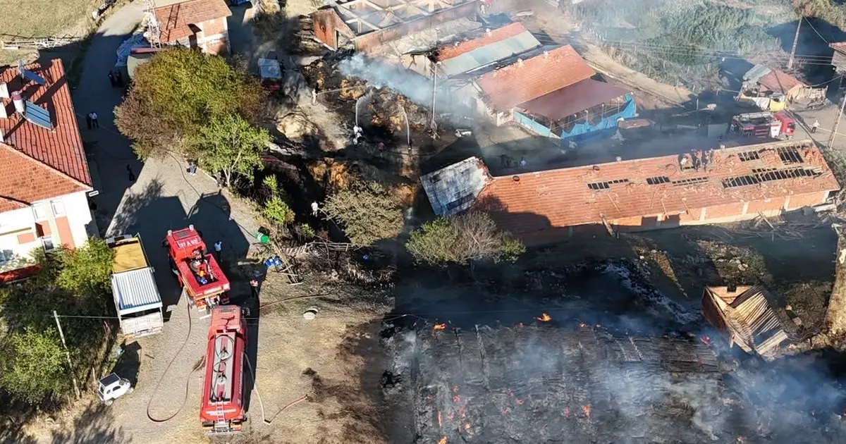 Kastamonu'da yangın: 14 büyükbaş hayvan telef oldu