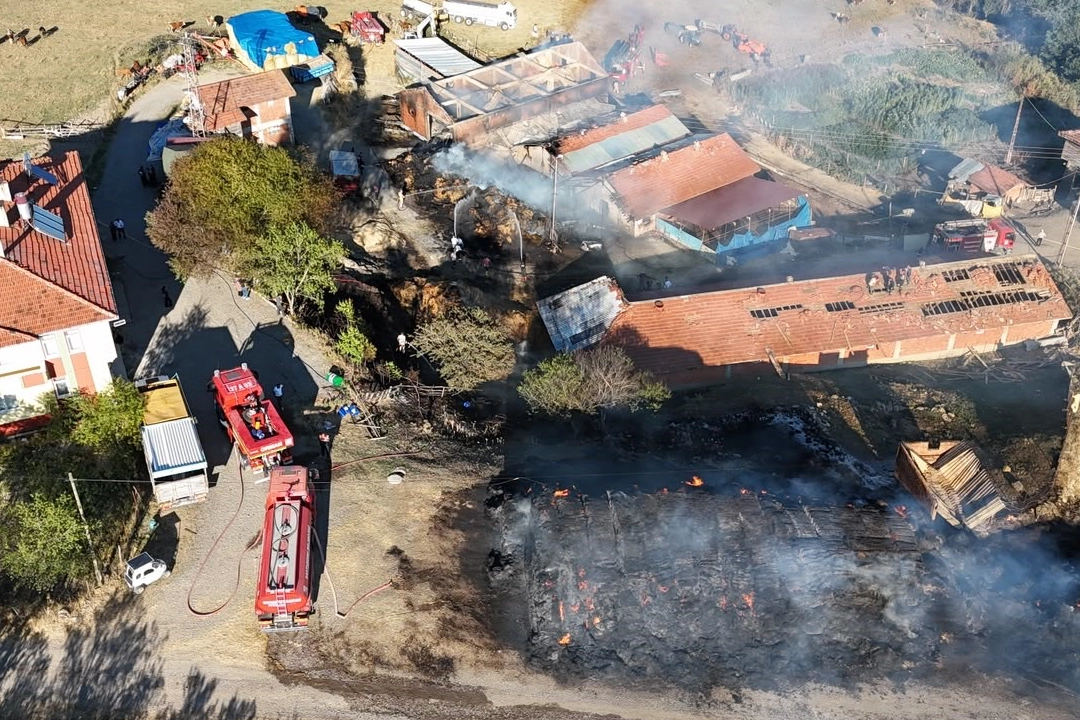 Kastamonu'da yangın: 14 büyükbaş hayvan telef oldu Kastamonu'da yangın: 14 büyükbaş hayvan telef oldu