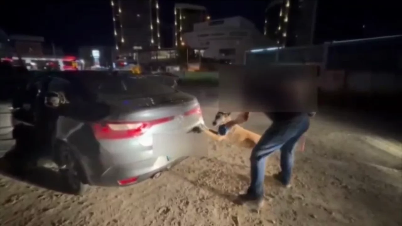 Uyuşturucu ticaretine darbe: Bursa'da 45 kilo skunk bulundu Uyuşturucu ticaretine darbe: Bursa'da 45 kilo skunk bulundu