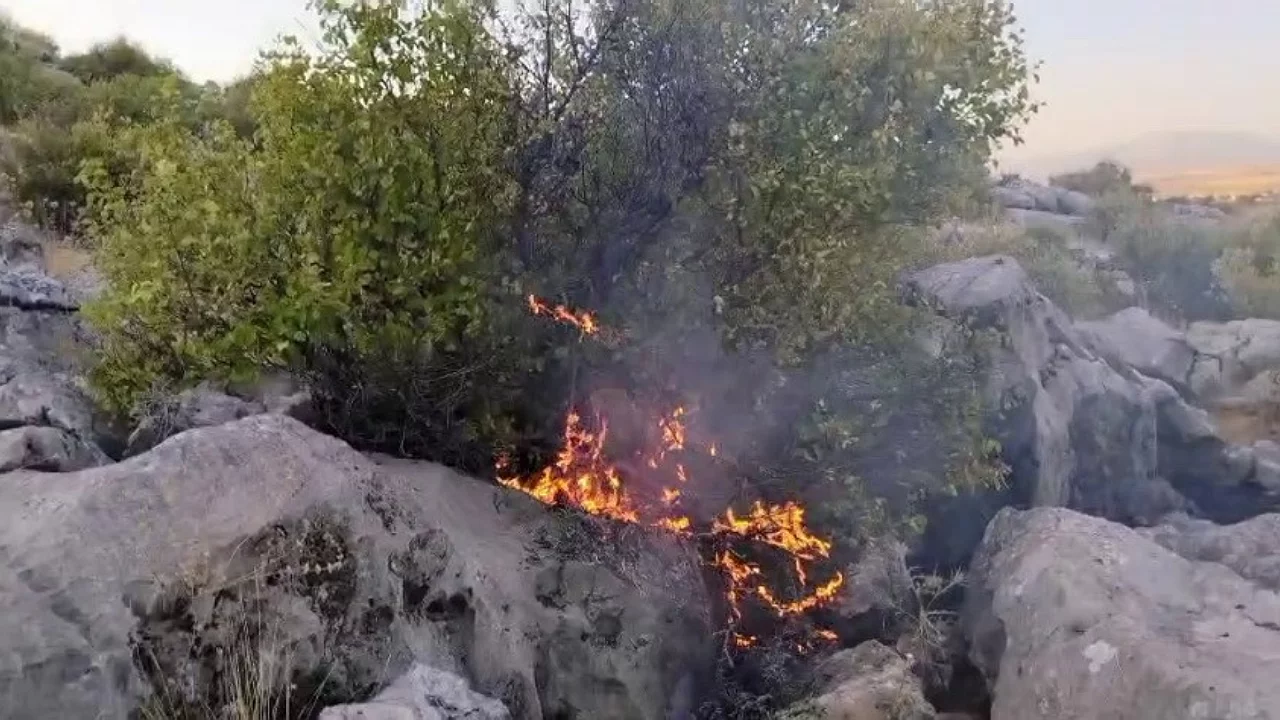Adıyaman'da Ormanlık Alanda Çıkan Yangın 20 Hektar Alanı Kül Etti