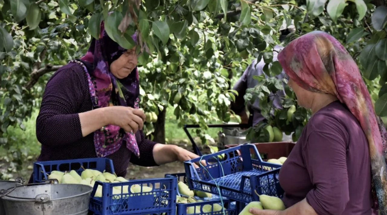 Bursa'da maden projesi, tarımsal üretimi etkileyebilir