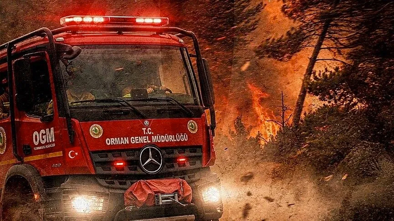 Bursa'da Yangın Riski Yükseliyor: 10 Günlük Kırmızı Hat Bursa'da Yangın Riski Yükseliyor: 10 Günlük Kırmızı Hat