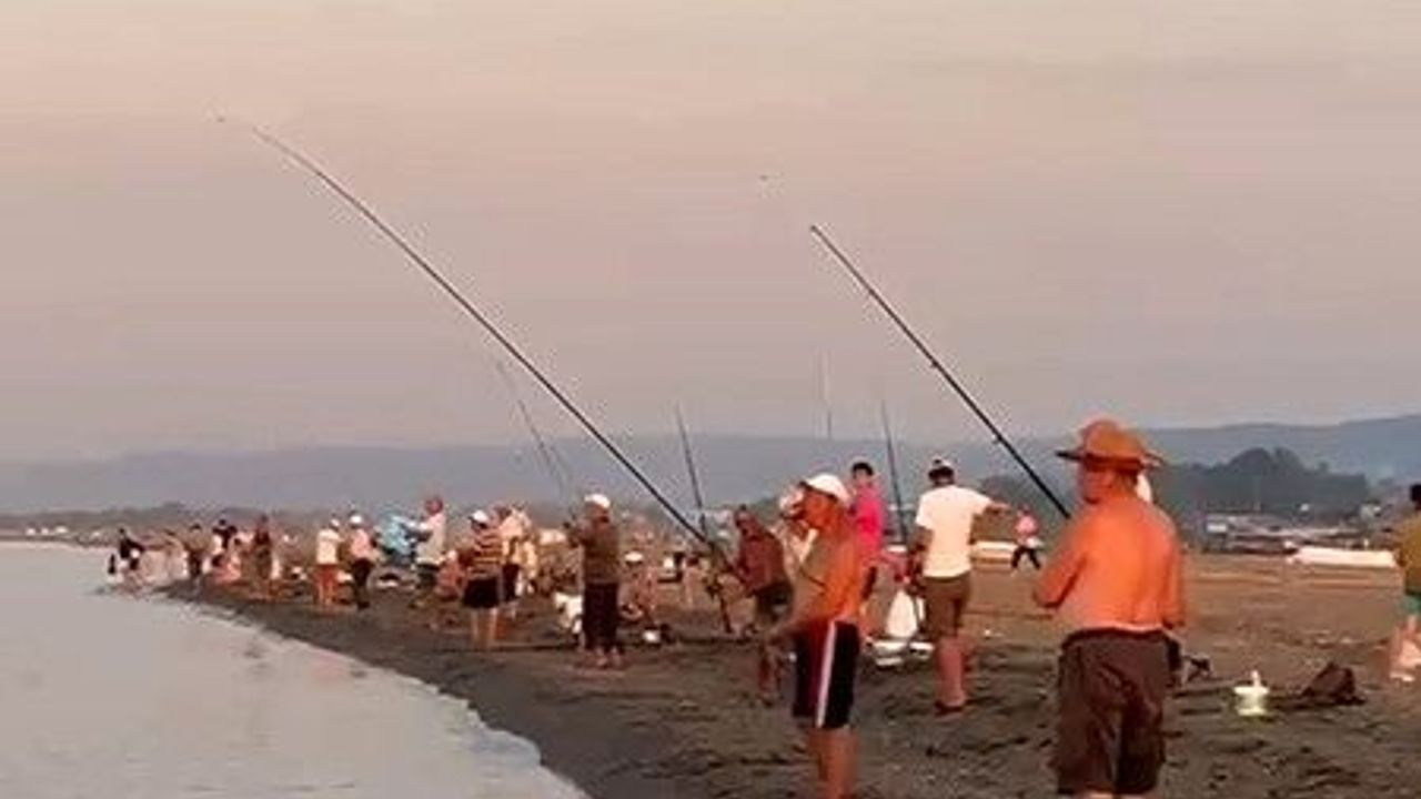 Karacabey sahilleri istavrit avıyla dolup taştı: Amatör balıkçılar coştu
