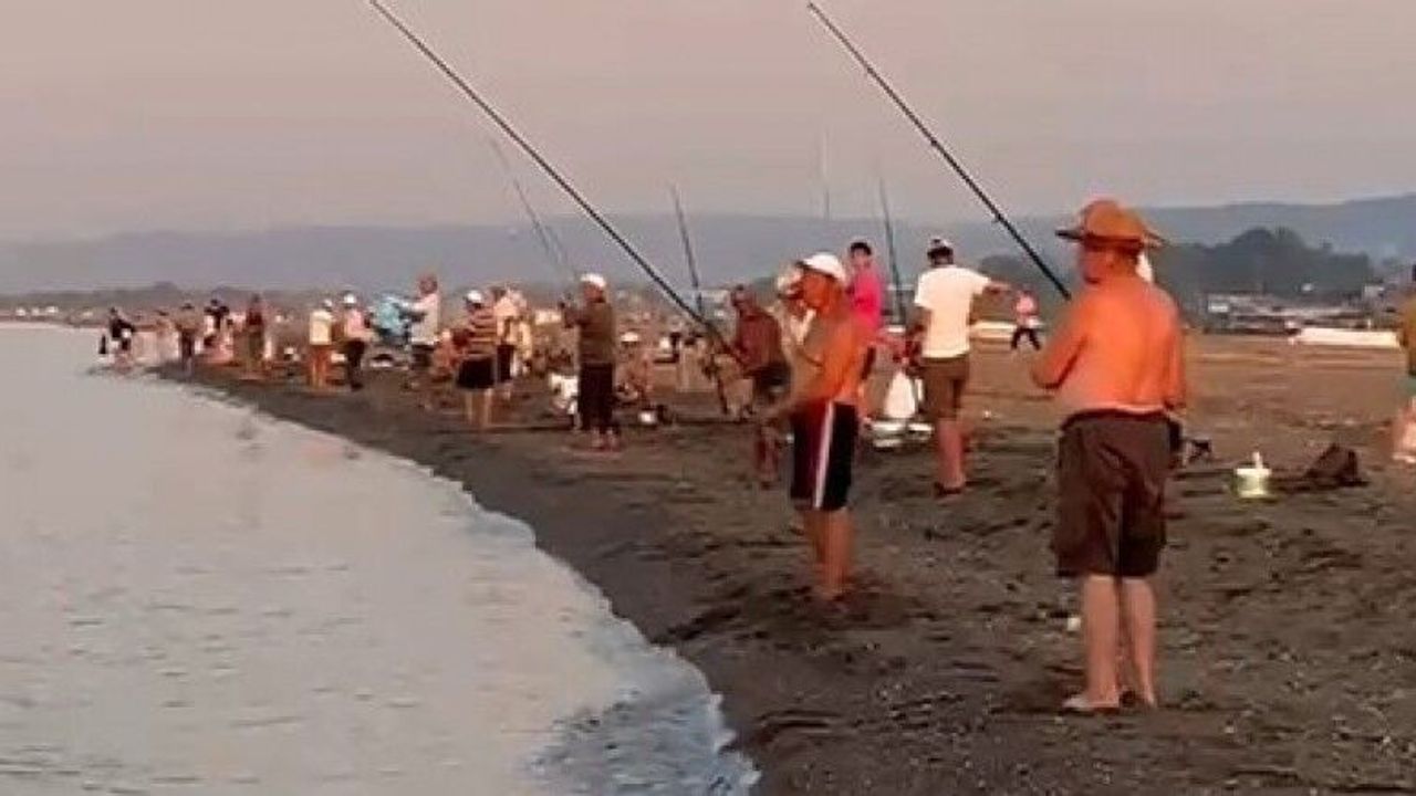 Karacabey sahillerinde istavrit avında balıkçılar dolup taştı