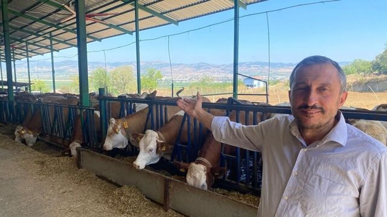 Bursa'nın Yenişehir ilçesinde süt üretimi Avrupa standartlarına taşınıyor
