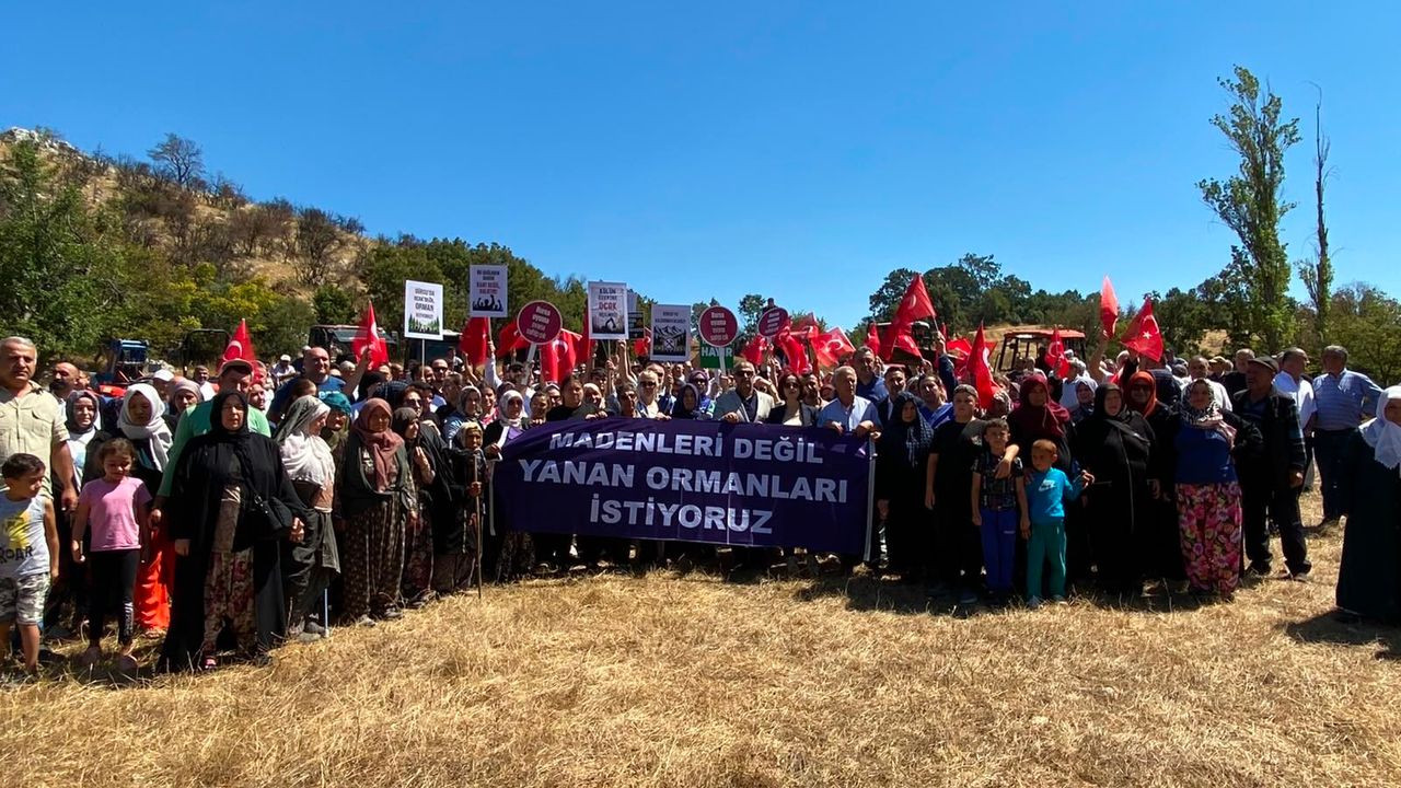 Gürsu Dışkaya'da maden projesine köylülerden itiraz: Orman alanları korunmalı Gürsu Dışkaya'da maden projesine köylülerden itiraz: Orman alanları korunmalı