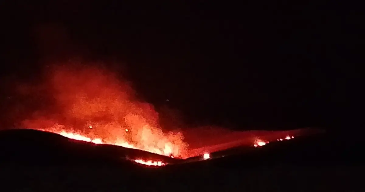 Diyarbakır'da anız yangını: İtfaiye ekipleri müdahaleye başladı