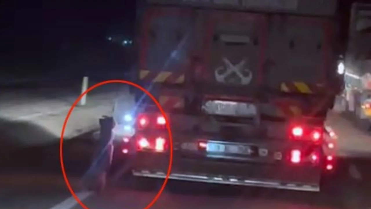 Denizli'de köpeği araçla sürükleyen sürücünün kimliği henüz tespit edilmedi