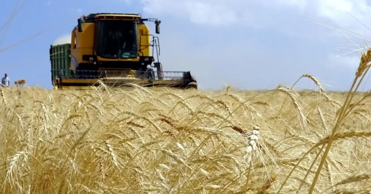 Yumaklı: Türkiye'nin tarımsal hasılası 83,2 milyar dolara yükselecek