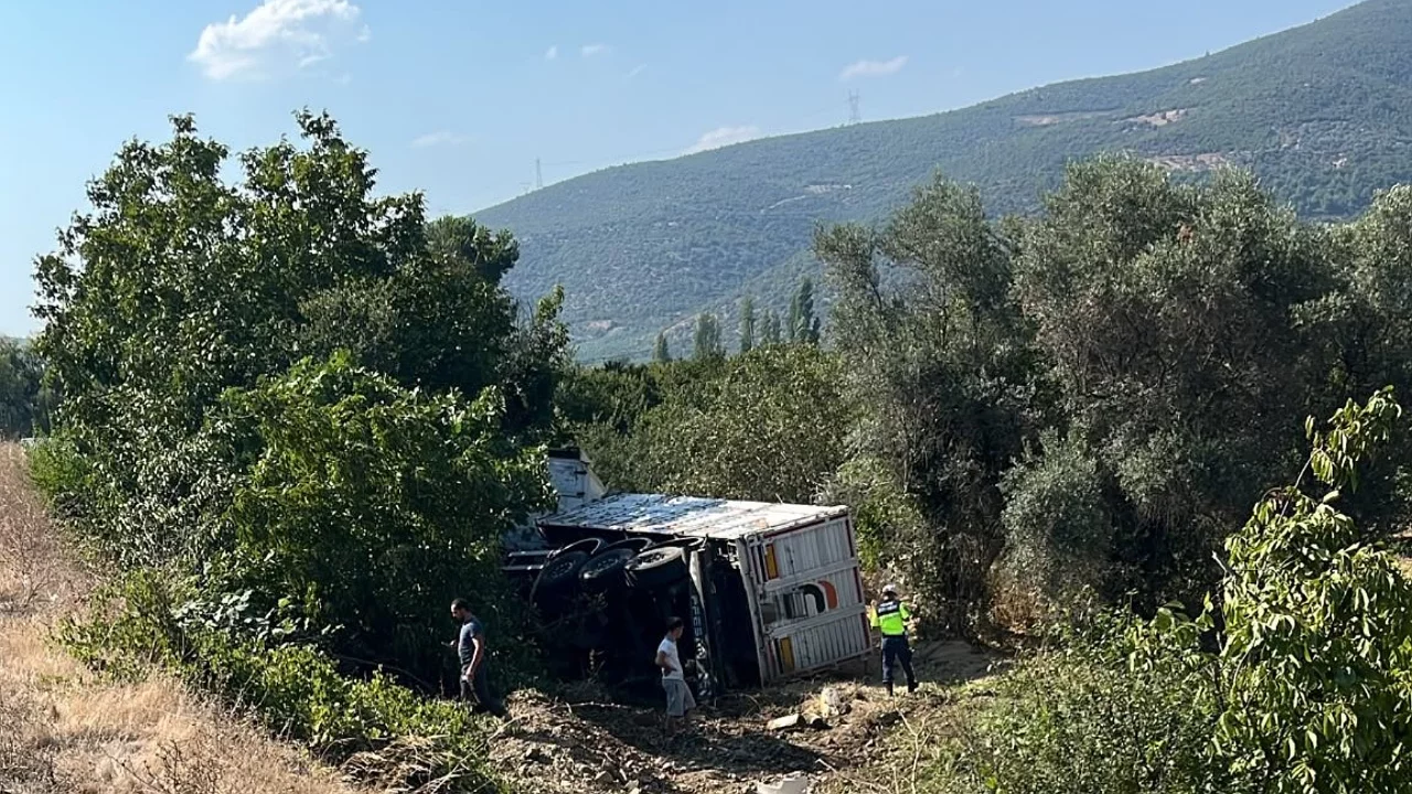 İznik-Sakarya yolunda kamyon kontrolden çıkarak araziye düştü