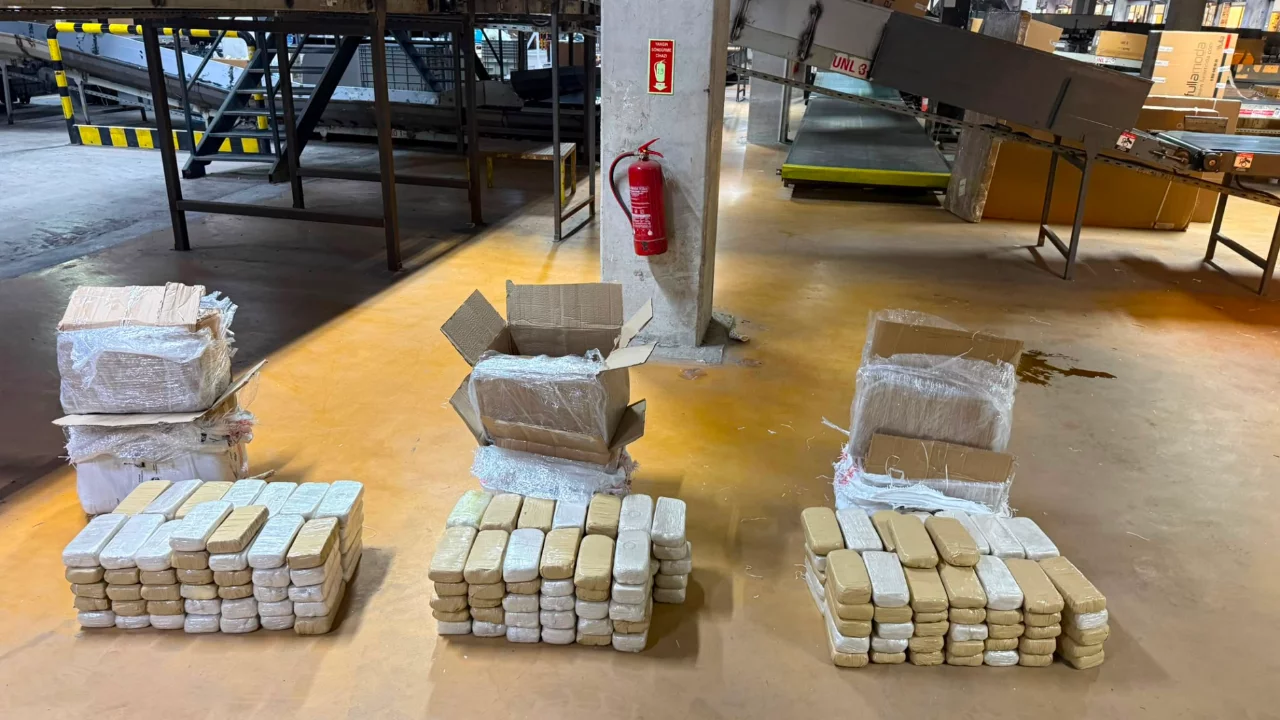 Uyuşturucu kargo operasyonu: 300 milyon lira değerinde ele geçirildi