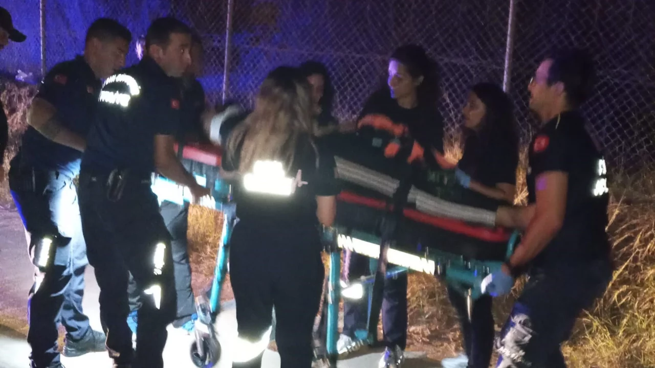Aydın'da ticari araç devrildi: Sıkışan sürücü hastaneye kaldırıldı
