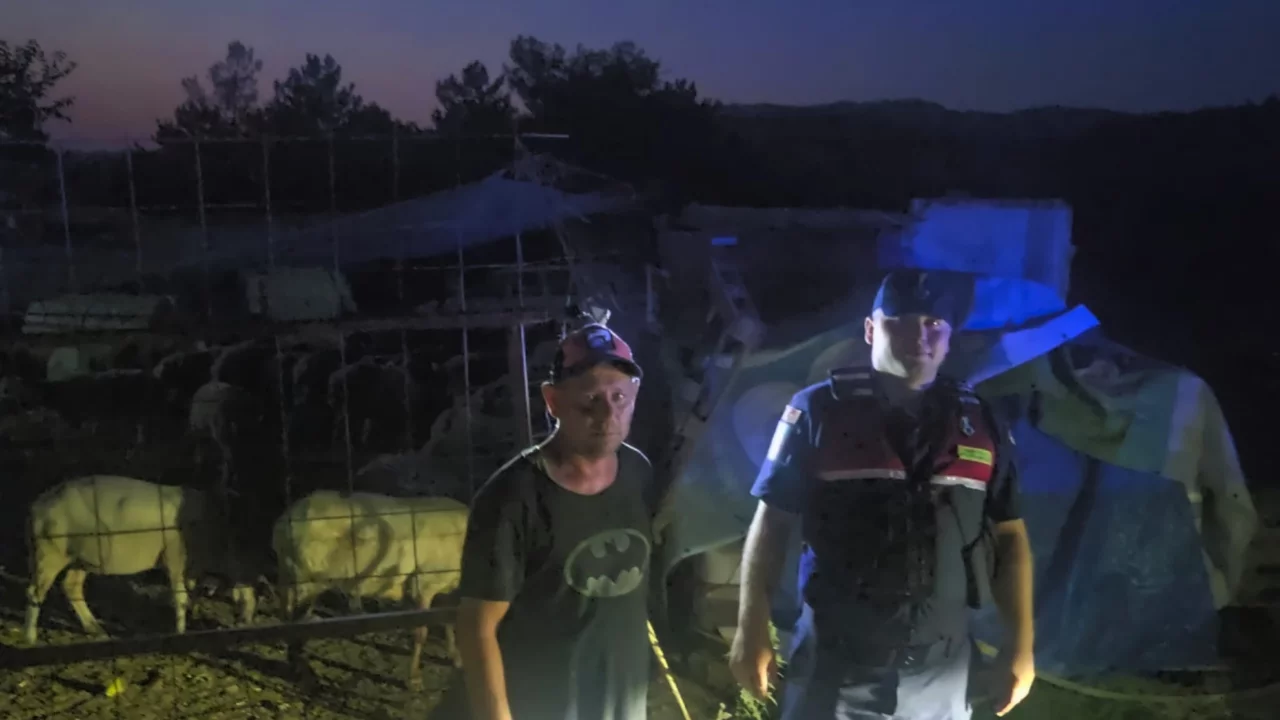 İnegöl'de kaybolan 50 küçükbaş hayvan dronla bulundu İnegöl'de kaybolan 50 küçükbaş hayvan dronla bulundu